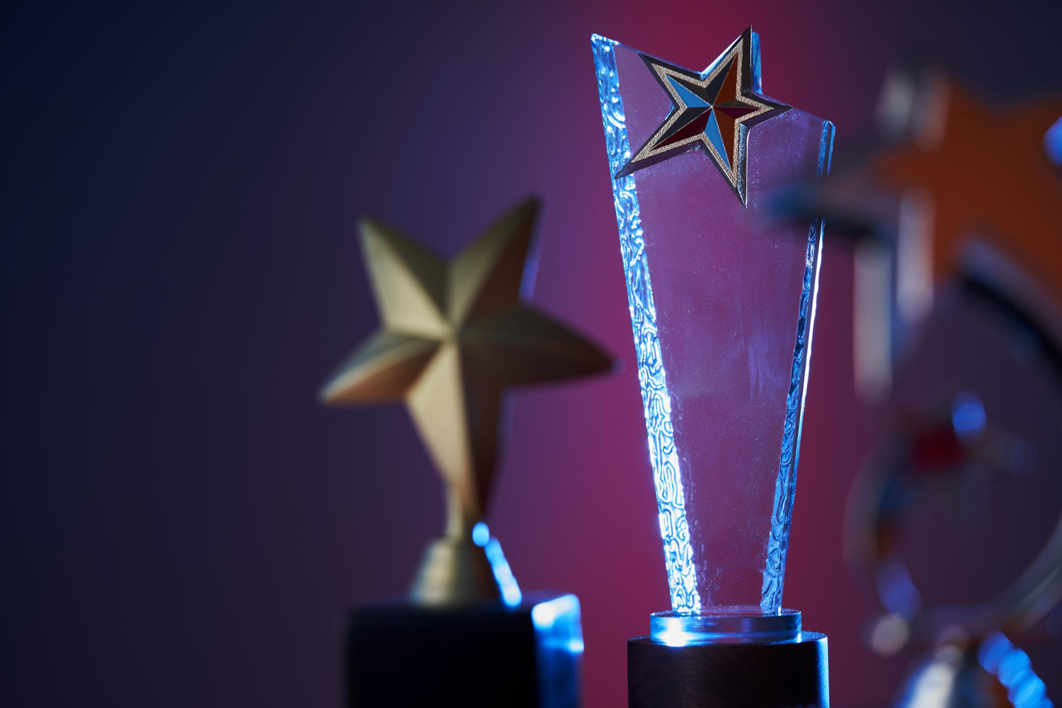 Awards Ceremony / Power Plant Excellence